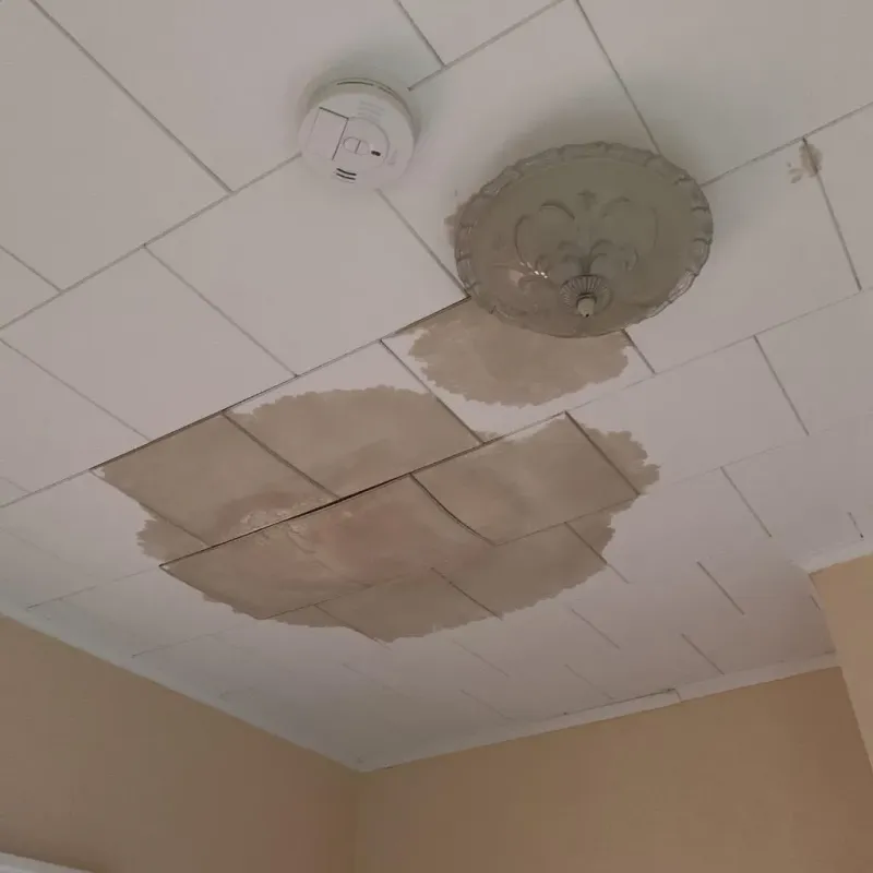 Ceiling Water Damage Repair in Long Creek, IL
