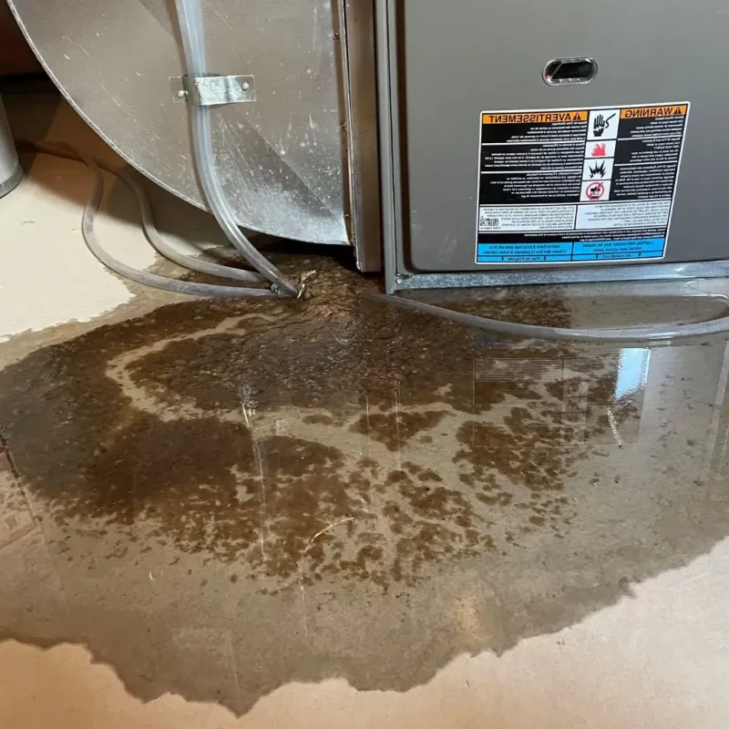 Pipe Burst and Leak Restoration in Long Creek, IL