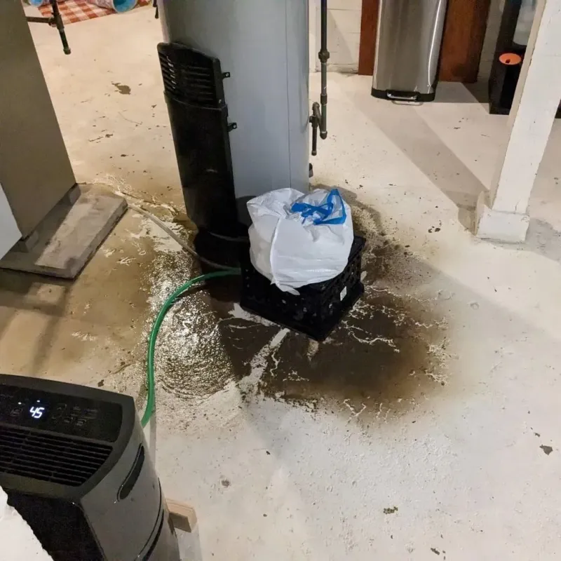 Sewage Backup Cleanup Service in Long Creek, IL